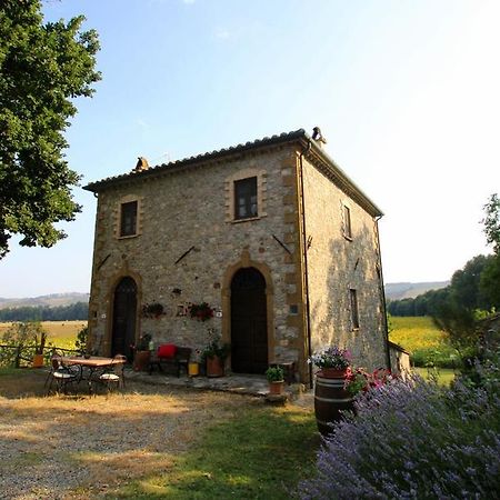 Agriturismo Le Spighe Proceno Exteriör bild