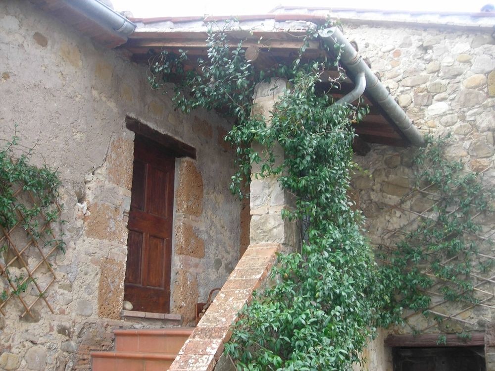 Agriturismo Le Spighe Proceno Exteriör bild
