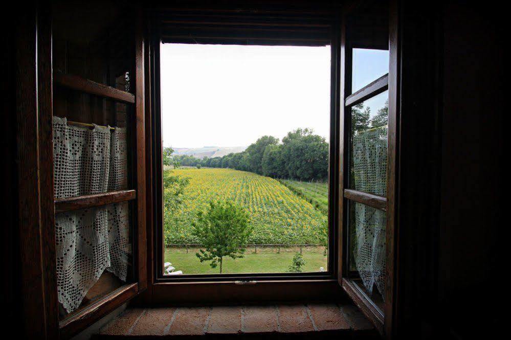 Agriturismo Le Spighe Proceno Exteriör bild