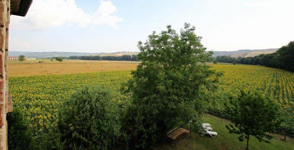 Agriturismo Le Spighe Proceno Exteriör bild